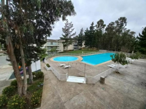 Algarrobo IV
